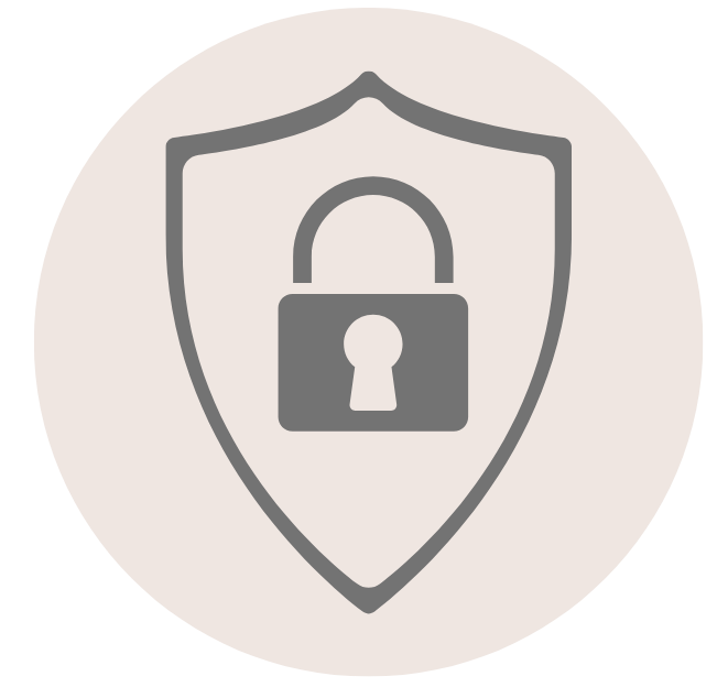 Secure environment icon