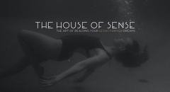 House of Sense ONLINE PORTAL Imagery SIMPLERO-3