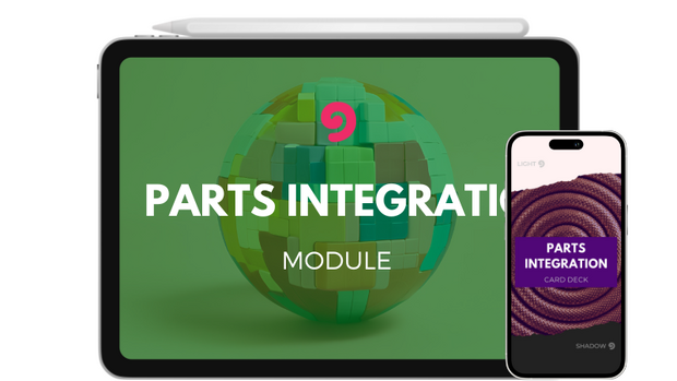 Product - Parts Integration Module
