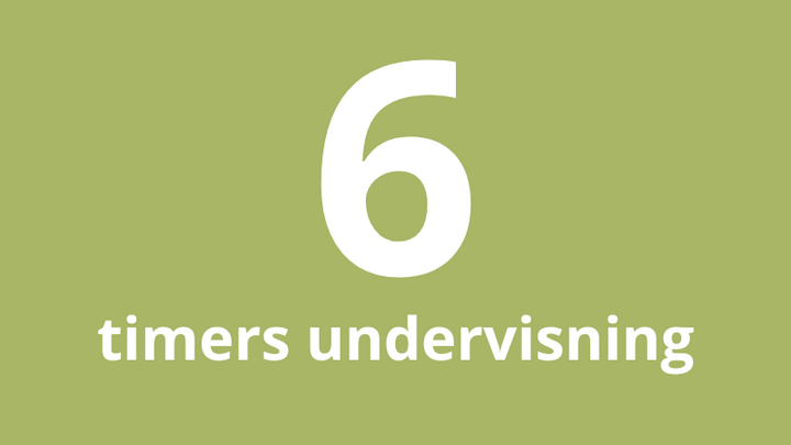 1_1 undervisning (6 timer)