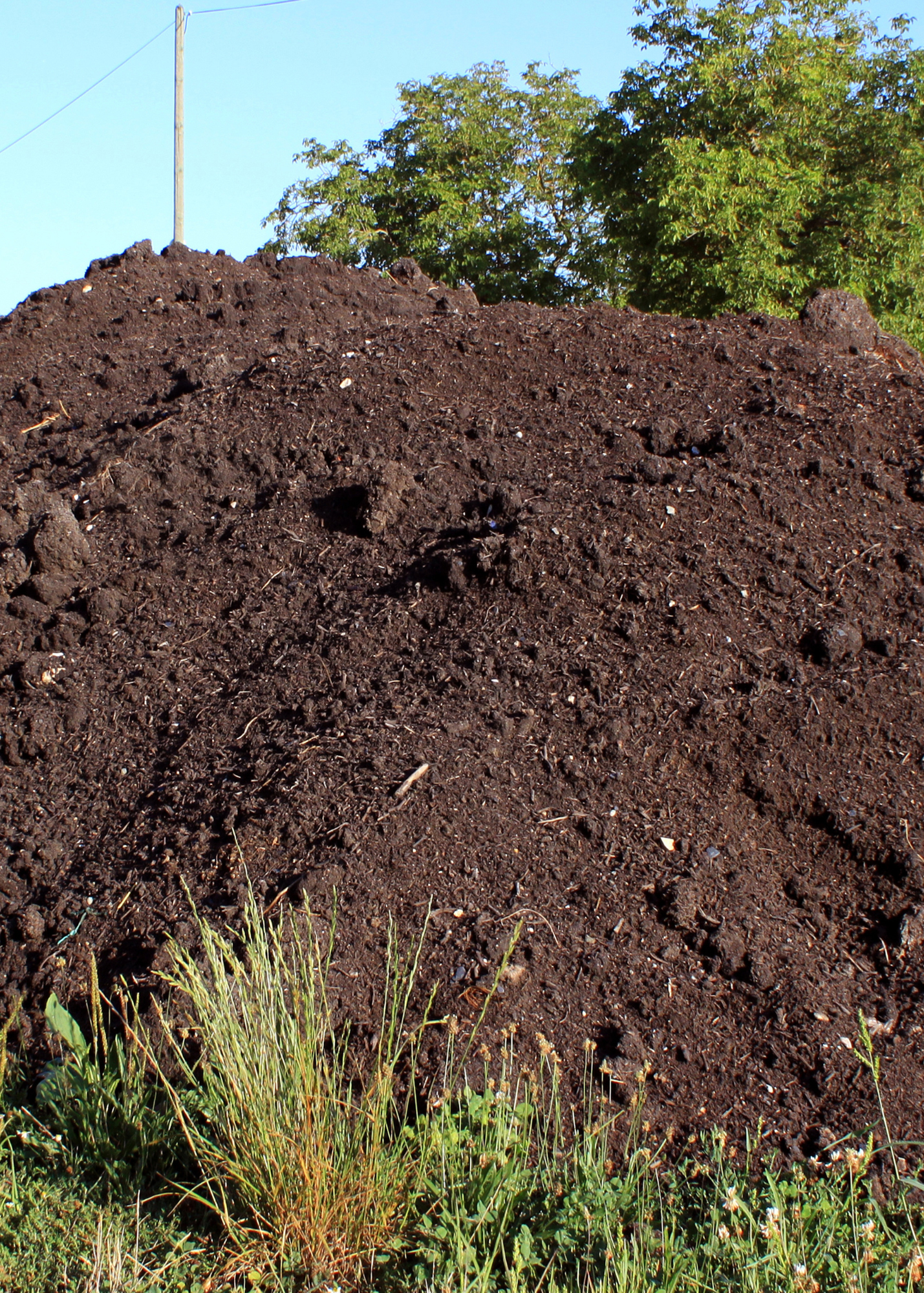 Compost