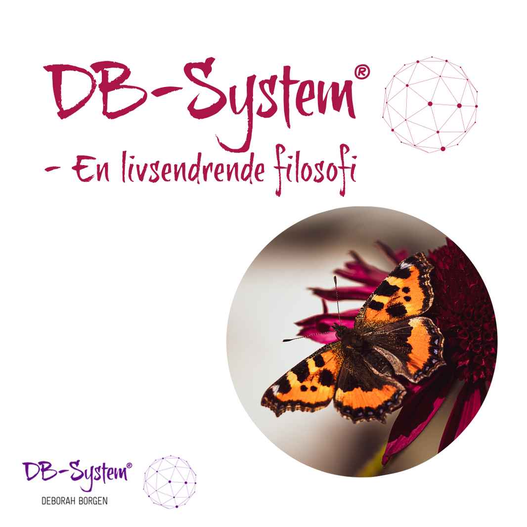 Coverbilde DB-System – En livsendrende filosofi forside