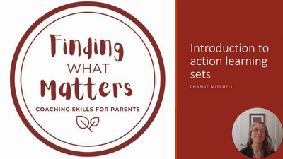 Action learning set session