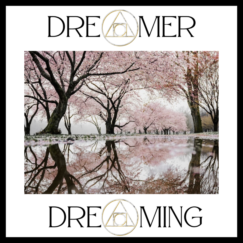 Dreamer Dreaming thumbnail