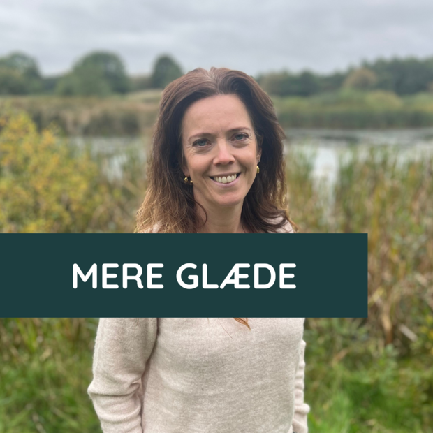 Mere-glaede