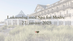 Luksusdag med spa