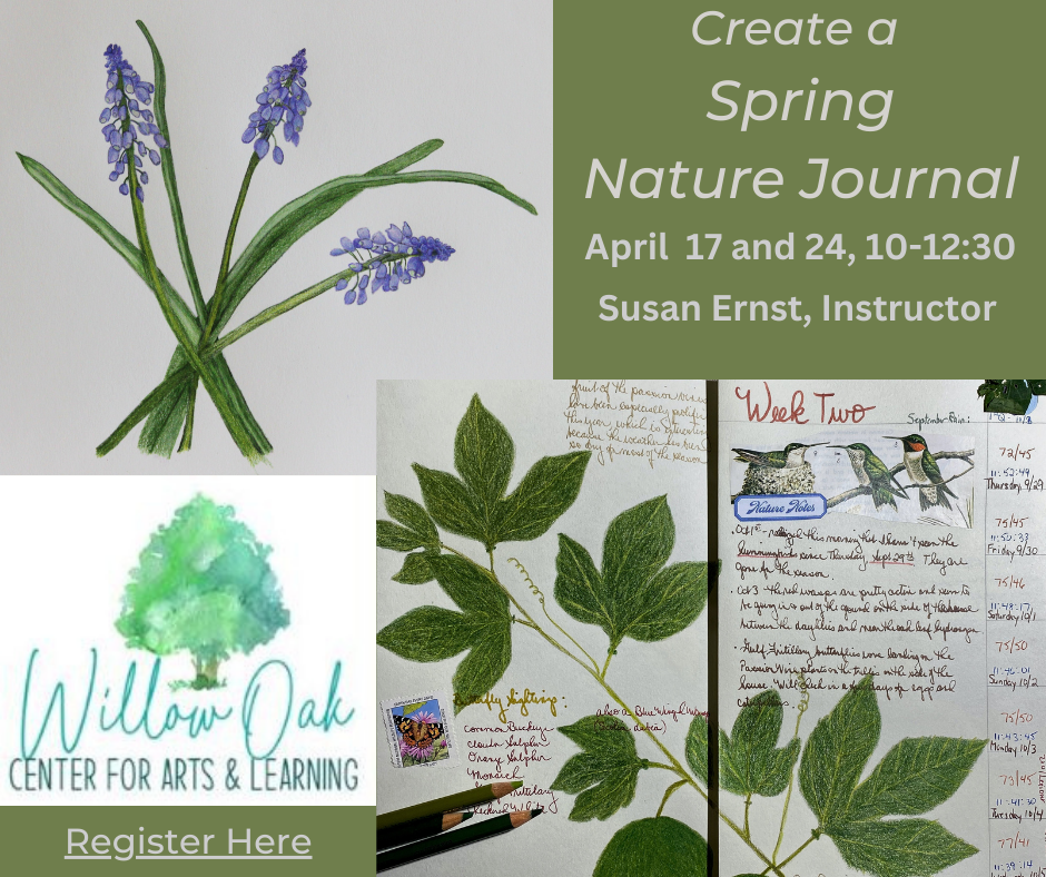 Create a Nature Journal for Spring