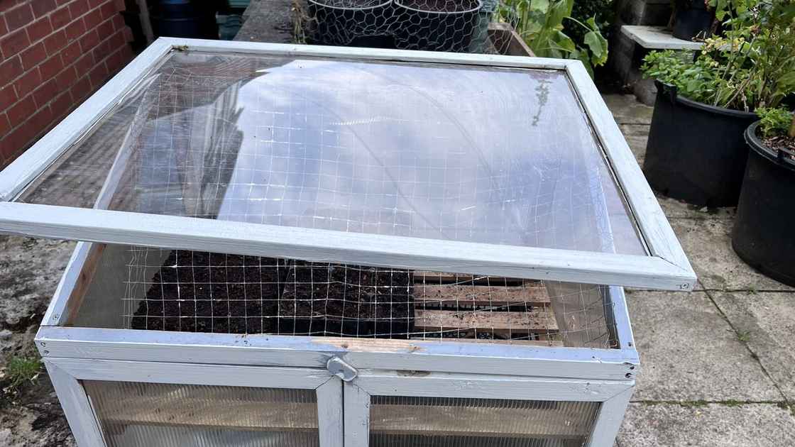 Cold Frame