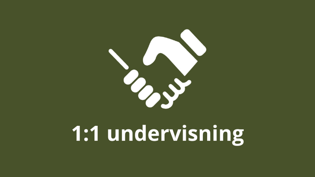11 undervisning