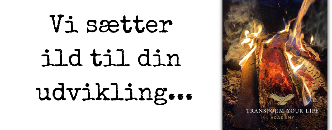 HJEM vi sætter ild til din udvikling