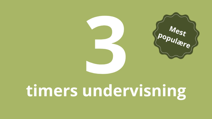 11 undervisning (3 timer) (1)