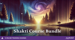 700 Shakti Course Bundle