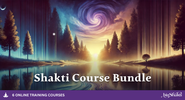 700 Shakti Course Bundle