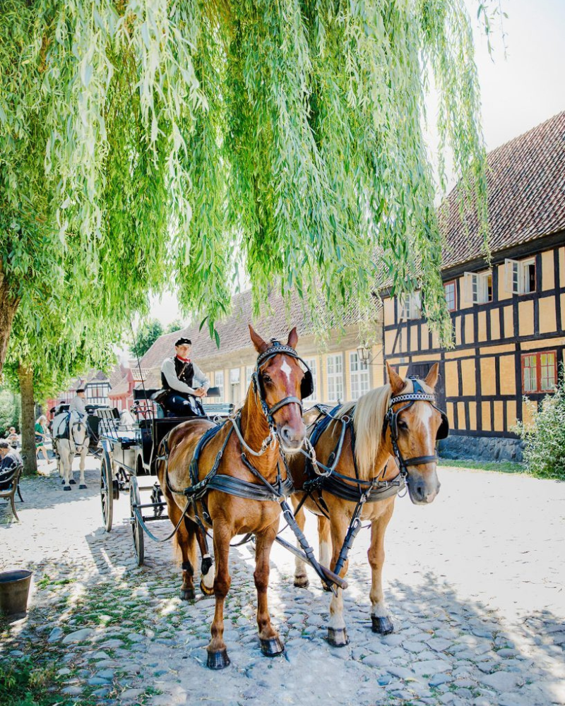 Old Town Aarhus, Denmark