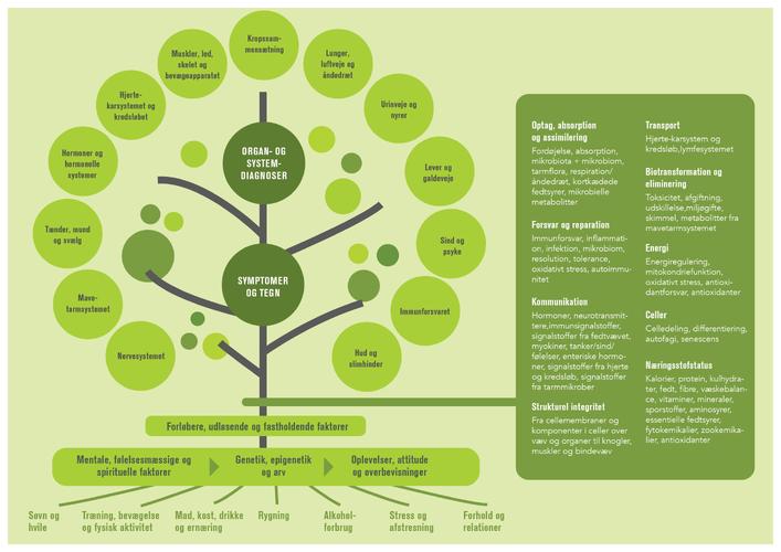FunctionalMedicineTree2024Landscape