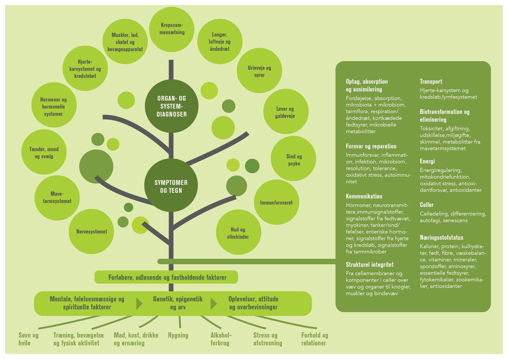 FunctionalMedicineTree2024Landscape