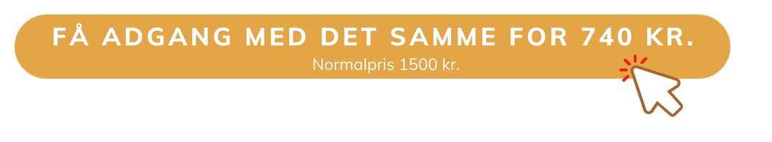 knap få adgang med det samme 740 kroner