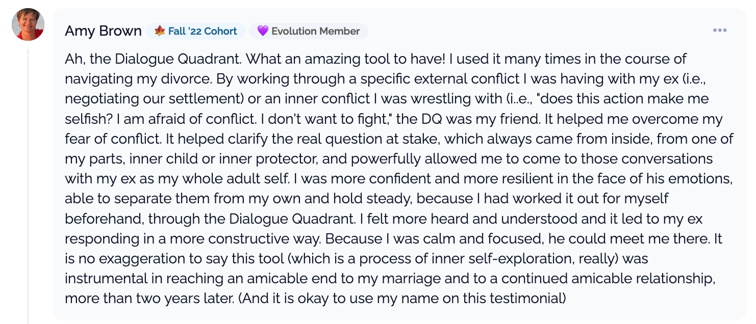 Amy Brown Conflict Navigator DQ Testimonial