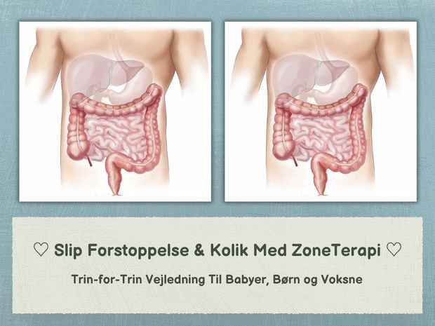 ♡ Slip Forstoppelse & Kolik Med ZoneTerapi ♡[E-Bog Salg 01.11.2024]  (1)