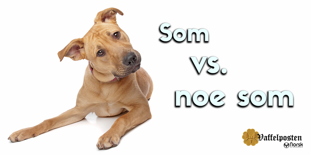 NFI-VP - Blog pic - som vs noe som