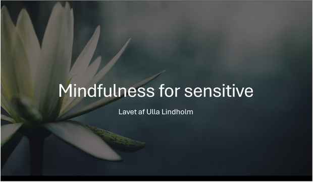 Mindfulness-for-sensitive