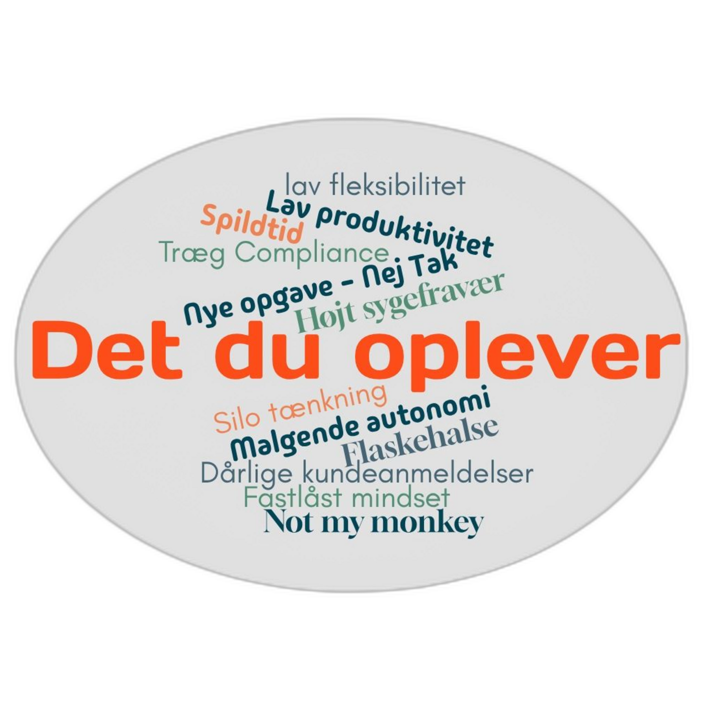 Det du oplever uden baggrund1