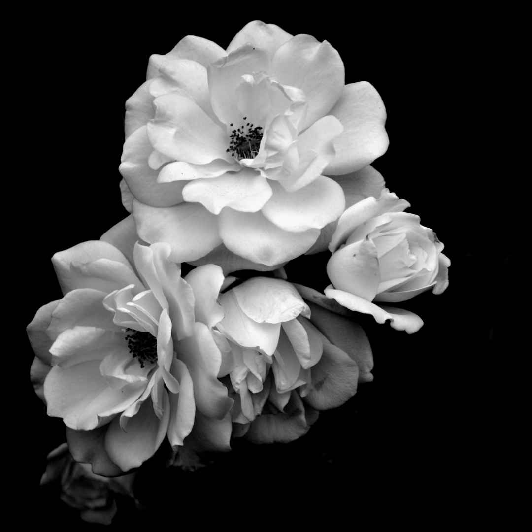 black and white flower bouquet