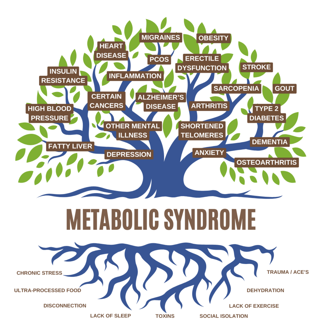 Metabolic Tree Graphic