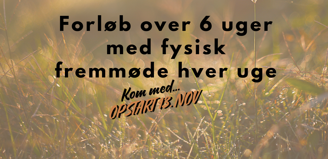 Healing og energiarbejde banner - kom med 13nov