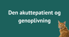 Den akuttepatient og genoplivning