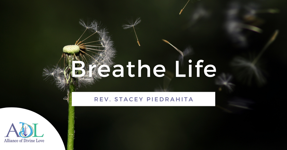 Breathe Life