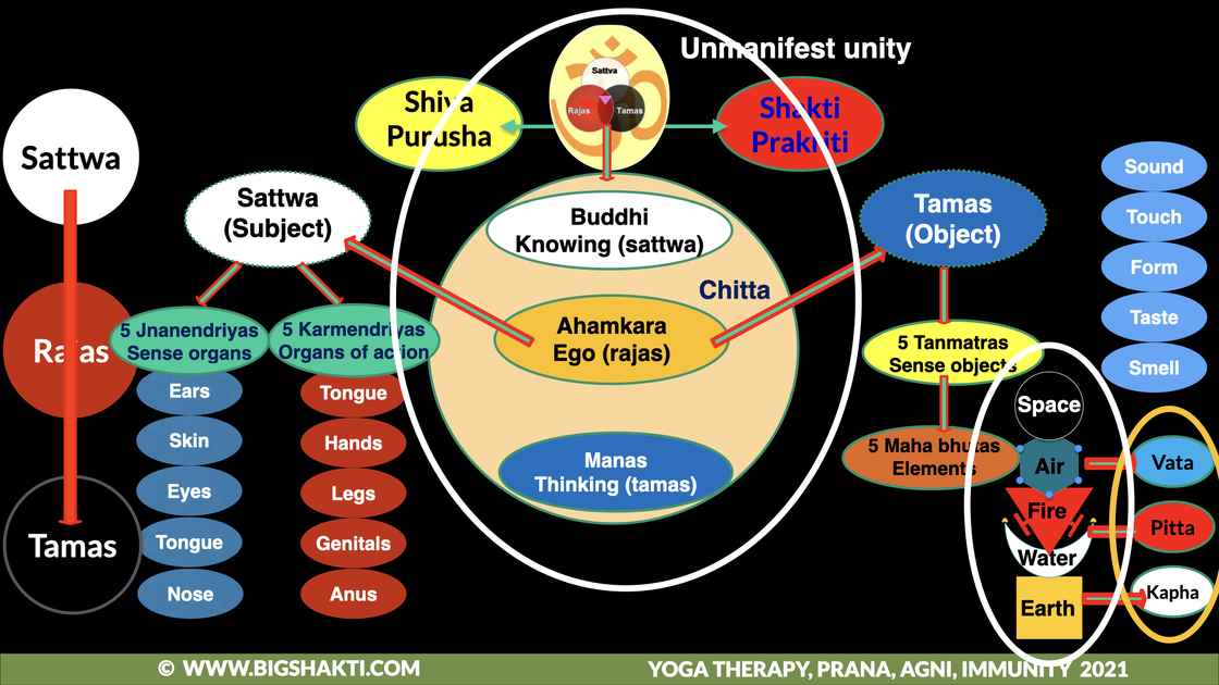 Samkhya and Ayurveda map