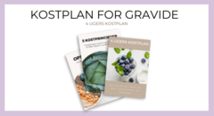 Kostplan gravide