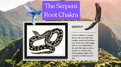 Screenshot 2024-11-09 at 11.42.54 AM