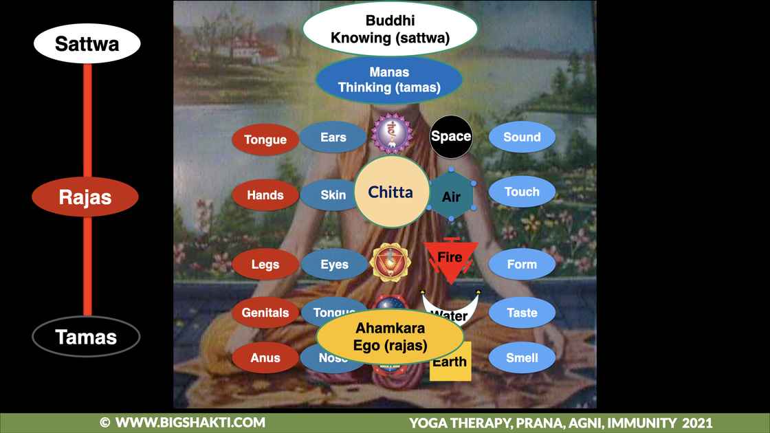 Yoga therapy Ayurveda and Immunity keynote Samkhya Chakras