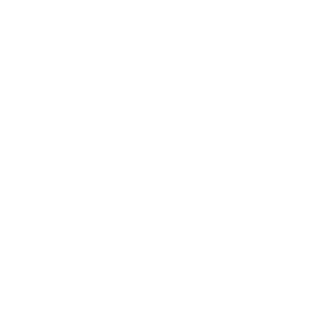 RAVA WOMB logo