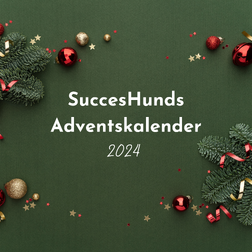 SuccesHunds Adventskalender-2