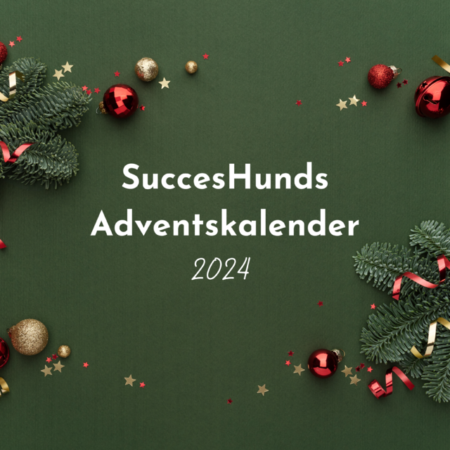 SuccesHunds Adventskalender-2