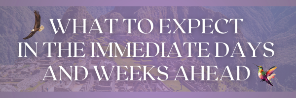 Purple White Simple Thank You Email Header-11