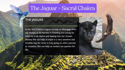 Screenshot 2024-11-12 at 11.29.26 AM