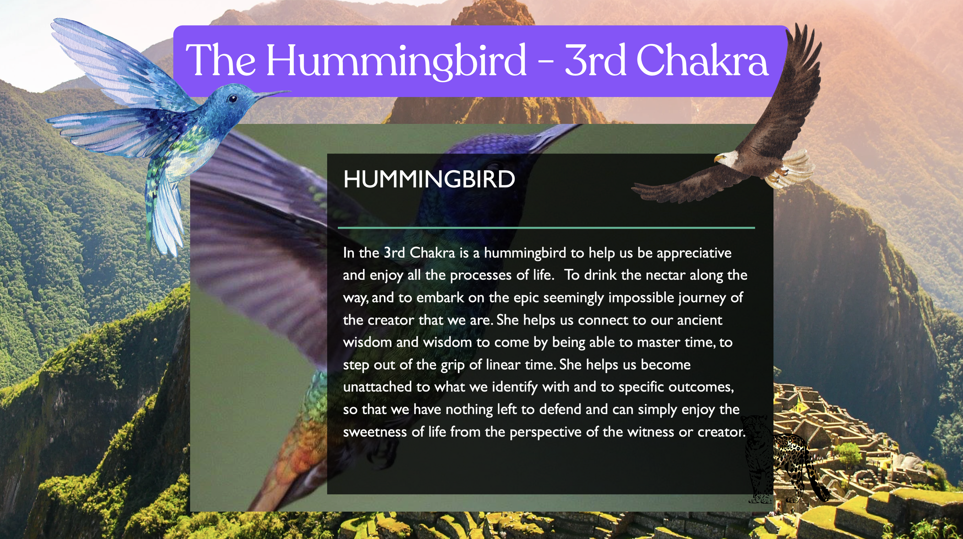 Screenshot 2024-11-12 at 11.39.06 AM