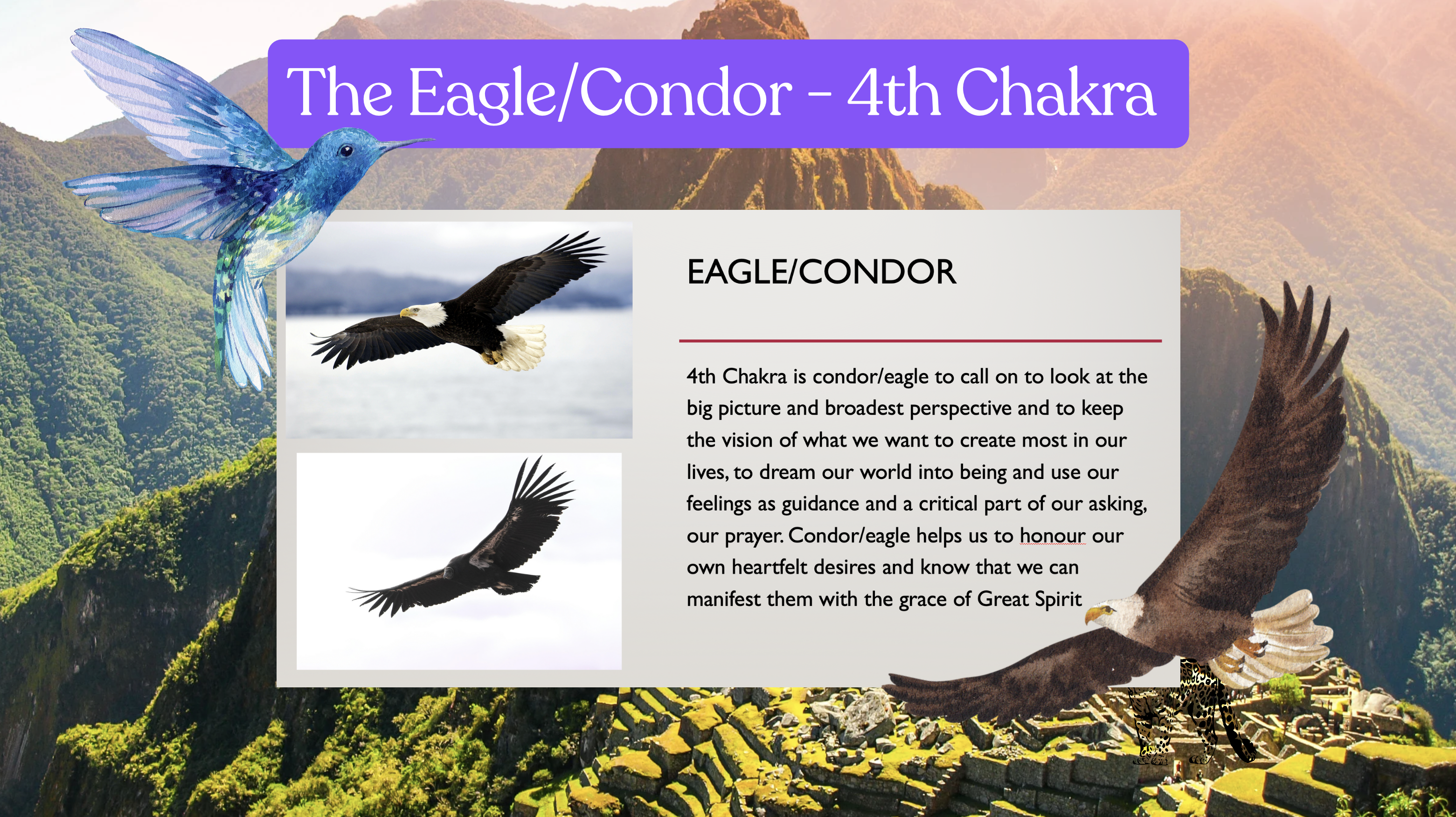 Screenshot 2024-11-12 at 11.54.07 AM