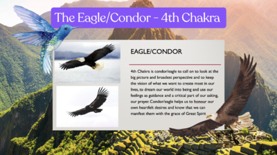 Screenshot 2024-11-12 at 11.54.07 AM