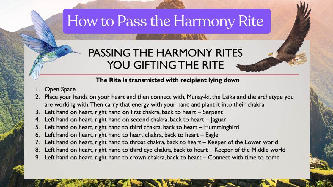 Screenshot 2024-11-12 at 12.48.38 PM