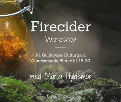 Firecider workshop (Facebook-opslag)