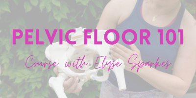 PELVIC FLOOR 101 COURSE BANNER