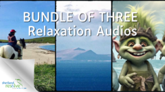 Three bundle audios