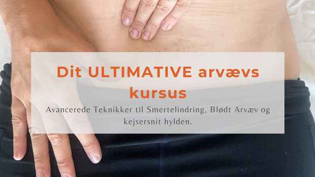 Dit ULTIMATIVE arvævskursus