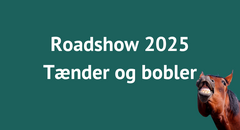 Roadshow hest