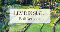 LEV DIN SJÆL RETREAT - Bali